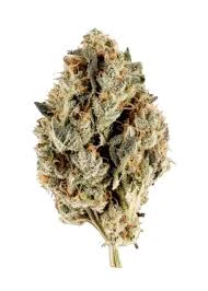 ALPHA GROW - Buds - Gorilla Glue #4 Main Image