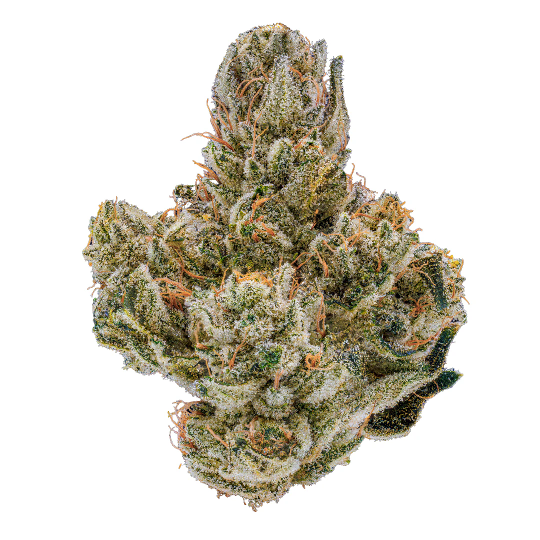 Umamii - Gorilla Glue | Flower | 3.5g | Umamii Main Image