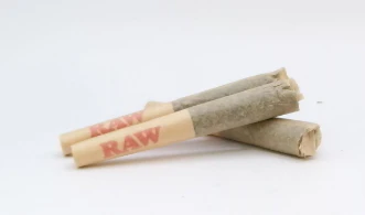 Flör - Government Oranges Alpha - Pre-Roll .35g - 1ct - FLOR Main Image