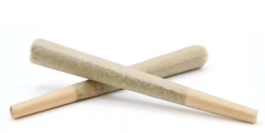 Flör - Government Oranges Sour - Pre-roll 1g - 1ct - Flor Main Image