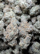 WARHEADS - EXCLUSIVE SHELF - HYBRID - 1/4 OZ