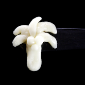 Shasta Flower & Hash - Live Rosin - GovMint Oasis - Concentrates - 1.0g