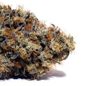 Banana Pancake | Freedom Green Farms | Bulk Flower