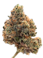 True Genetics | Garrett's Revenge | 3.5g