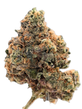 True Genetics | Garrett's Revenge (Creature Panic) | 3.5g