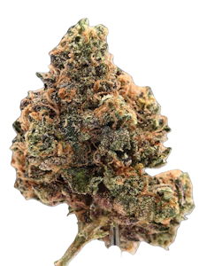 True Genetics - True Genetics | Garrett's Revenge | 3.5g