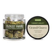 Florist Farms - Grandi Guava - 7g - Flower