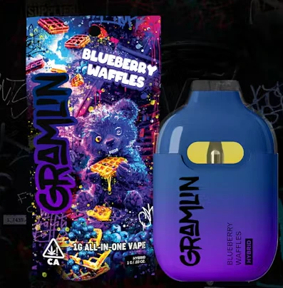 Gramlin - Blueberry Waffles AIO 1G Main Image