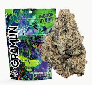 Pink Kishu x Zwish 3.5G