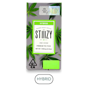 STIIIZY - Stiiizy - Apple Fritter - Vape Pod - 1.0g