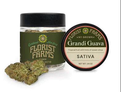 FLORIST FARMS - Grandi Guava | Flower | 7g | Florist Farms