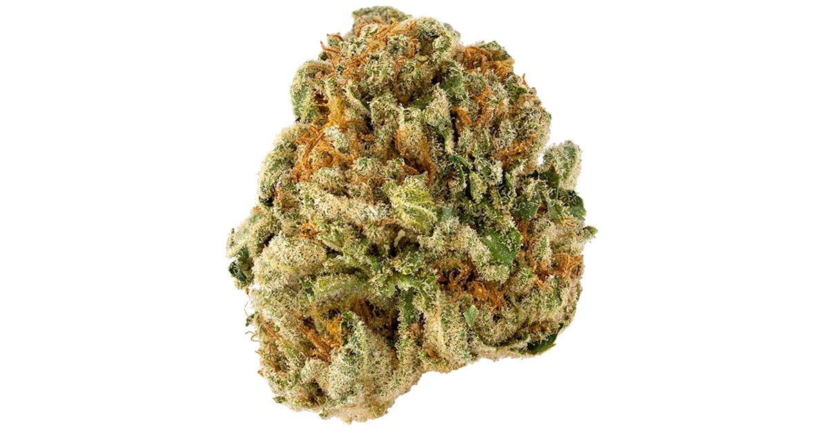 Rare Michigan Genetics - Buds - Granny's Tea  Main Image