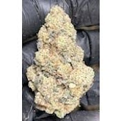 Bulk flower | Rare Michigan Genetics | Granny's Tea