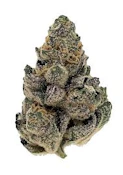 The Don Mega | Common Citizen | Bulk Flower