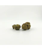 Collie Fields | Flower [I] | Grape Gasoline (3992)