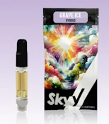 Grape Ice Cartridge - 2g
