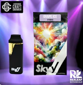 Grape Ice Disposable Vape - 2g