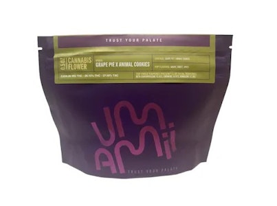 UMAMII - Umamii - Grape Pie x Animal Cookies - 26.10% THC - 14g - Dry Flower