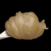 Trilogy 710 - Live Rosin - Grapefruit Sorbet - Concentrate - 1.0g