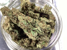 Truforia - Grapes N Cream (H)