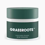 Grassroots | Jayna's Sunshine| 3.5g(hybrid)