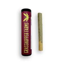 Grasshopper Farms - Grasshopper Farms - 1G Preroll - Grasshopper Gum Main Image