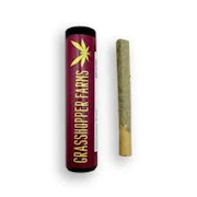 Grasshopper Farms - 1G Preroll - Cutie Cream