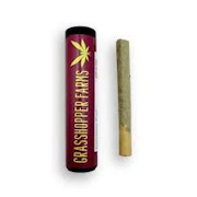 Grasshopper Farms - 1G Preroll - Mimosa