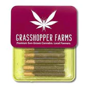 Grasshopper Farms - 5pk Infused Prerolls - Jealousy