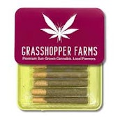 Grasshopper Farms - 5pk Infused Prerolls - Cherry Pie High