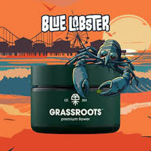 GRASSROOTS (NM) - Grassroots: Whole Flower | Blue Lobster | 3.5G | [H] |