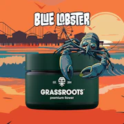 Grassroots - Blue Lobster - 3.5g