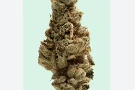 SAPPHIRE - Green Runtz - 8