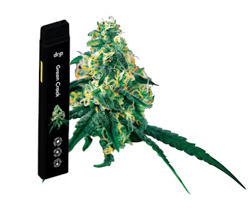 Drip - Green Crack  - Drip 2G Disposable 