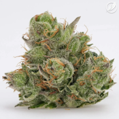 Green Diesel Flower S 25382