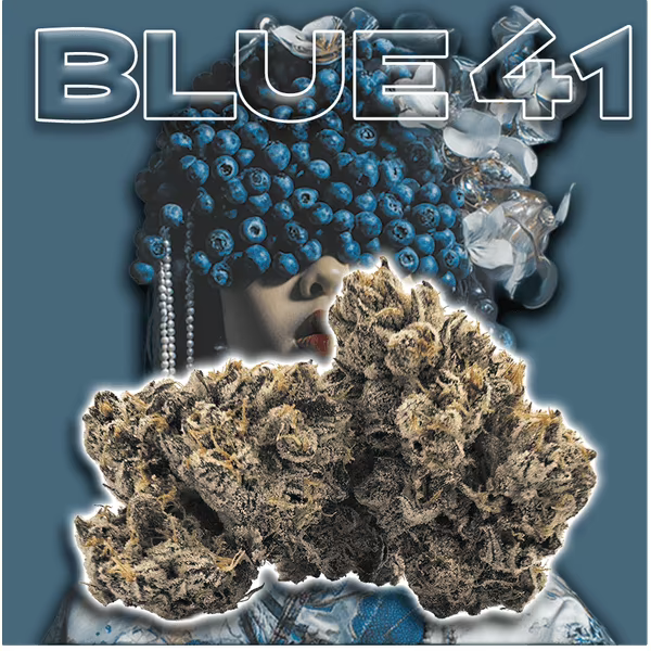 Green Dragon | Blue 41 | 3.5g