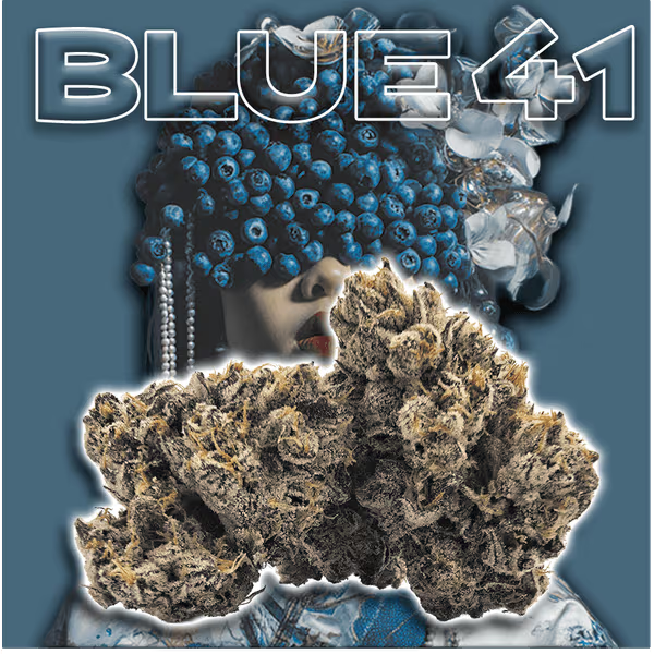 Green Dragon | Blue 41 | 14g