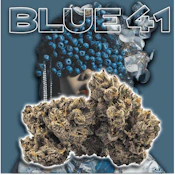 Green Dragon | Blue 41 | 14g