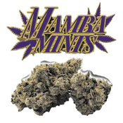 Green Dragon | Mamba Mints | 3.5g