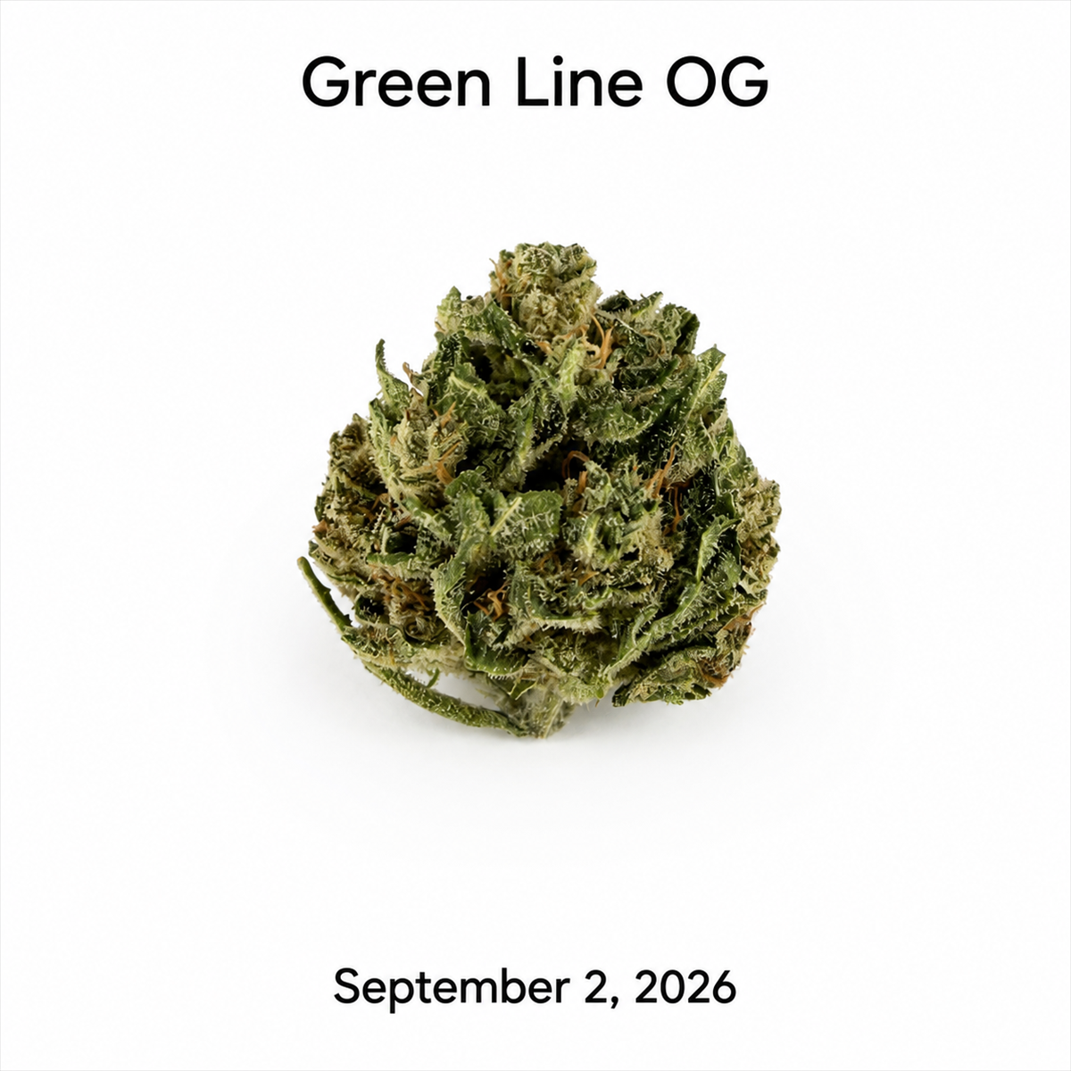 Desert Peaks Green Line OG