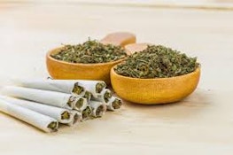 Canuvo | Ground First Class Gas | 7g [I]