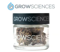 Bananaconda Flower - 3.5g