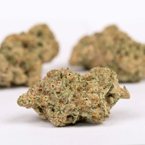 EVERYDAY - EVERYDAY | GUAVA PIE | FLOWER |3.5G