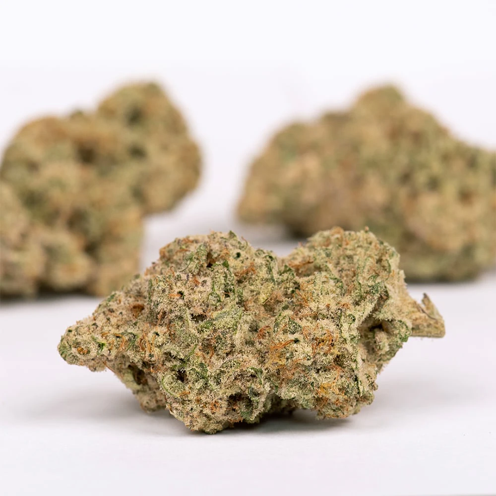 Everyday - EVERYDAY | GUAVA PIE | FLOWER |3.5G Main Image