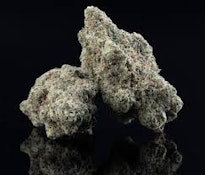 Bulk Flower | Plant Nerd | Guava Barz