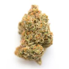 NATURE'S MEDICINE - Buds - Guava Tart  Main Image