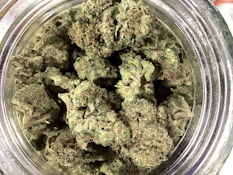 Truforia - Guava (S)