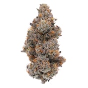 Guava Bomba - 3.5g (IH) - Sense