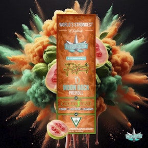 Platinum - Presidential x Platinum Guava Haze - 1g Infused Preroll
