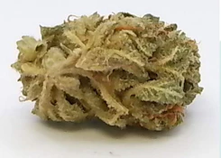 Feelin MN - Gummibears (3.5g) 